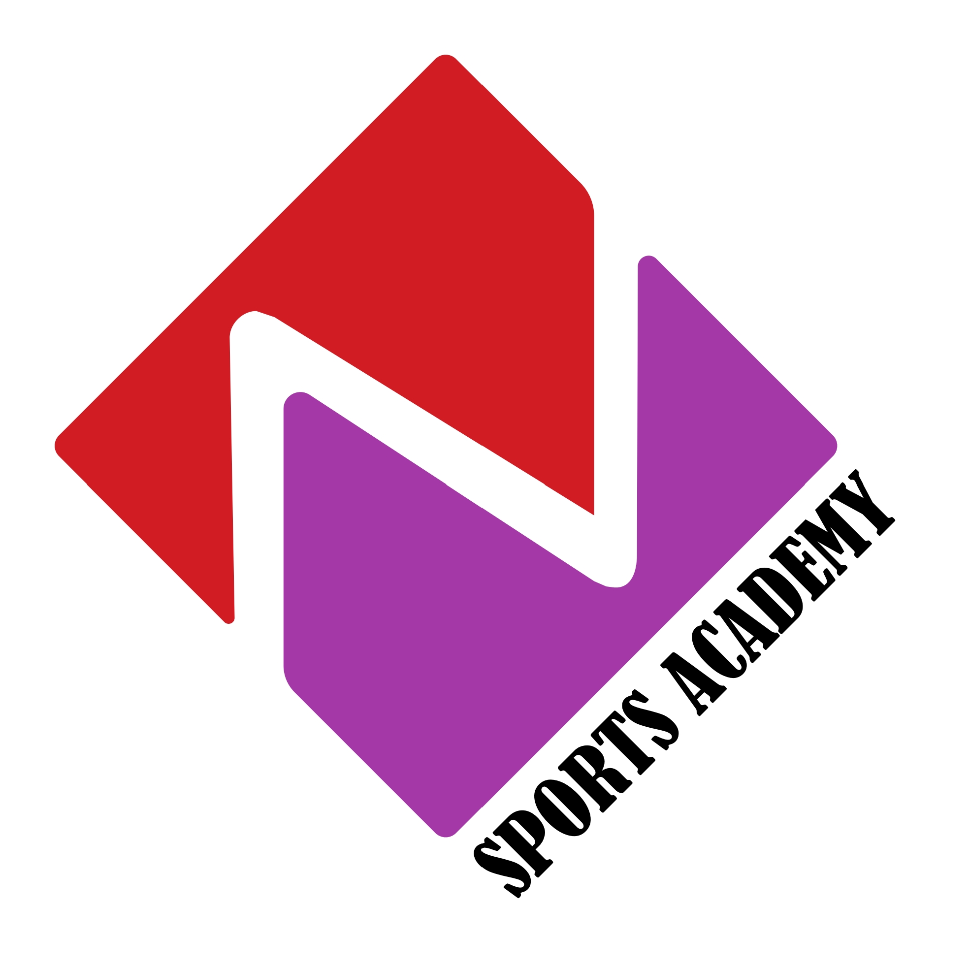 N Sports Academy logo